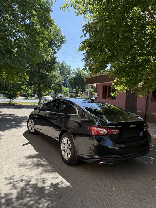 Malibu 2 2022 kraska toza
