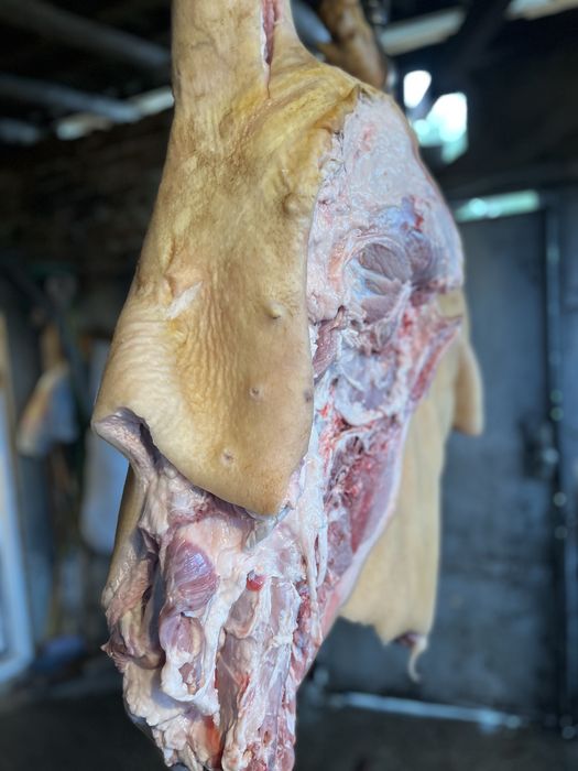 Свинско прясно месо