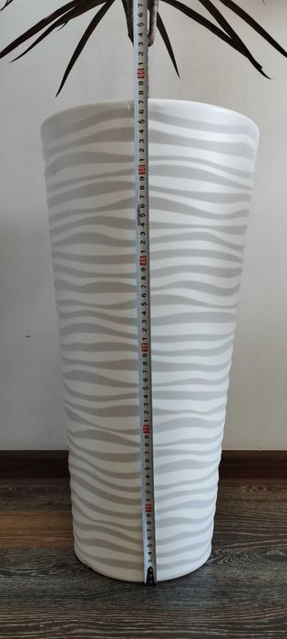 Комнатные цветы для офисов и для дома