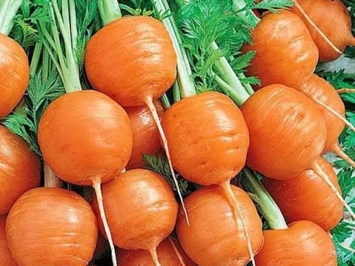 Семена моркови Парижская каротель