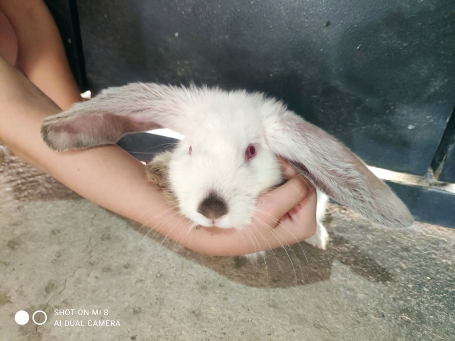 Uy 2 jinsiy aloqa qattiq porno uy 2