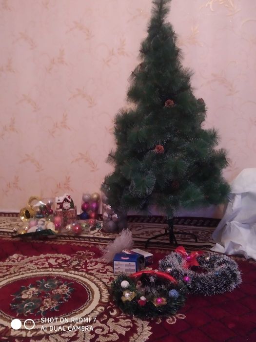 Archa oʻyinchoqlari bilan sotiladi