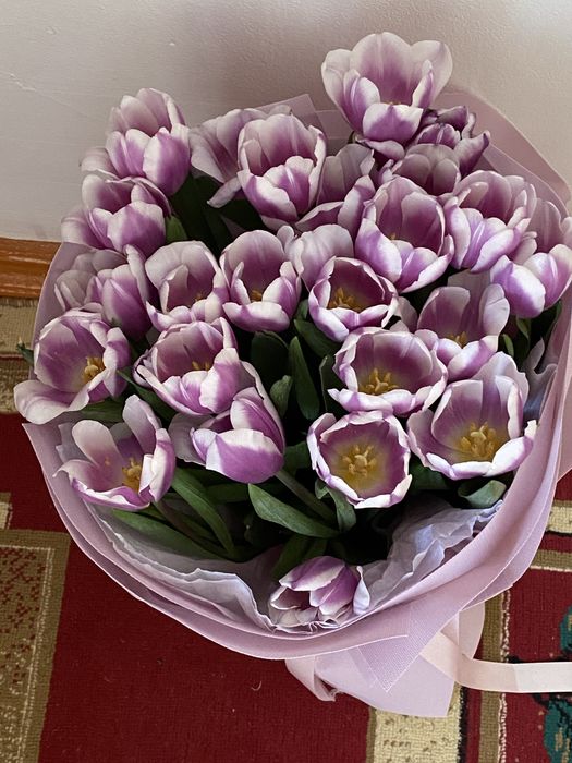 Тюльпан свежые .