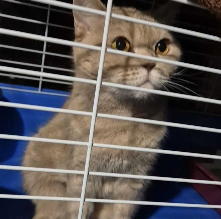 По дороге к счастью - девочка Груня