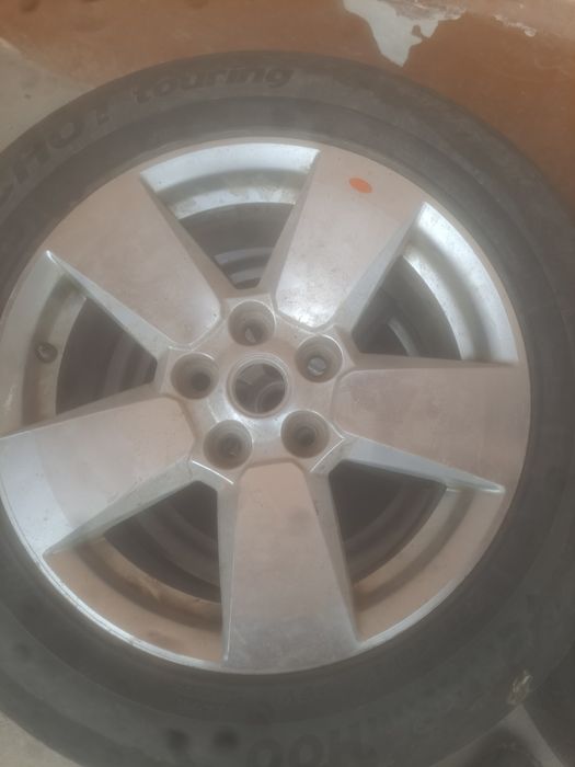 Малибу диска аргинал