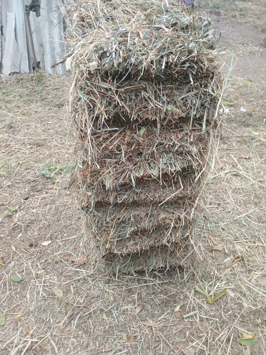 Продам сено не дорого