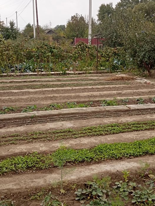 Продам дачный участок