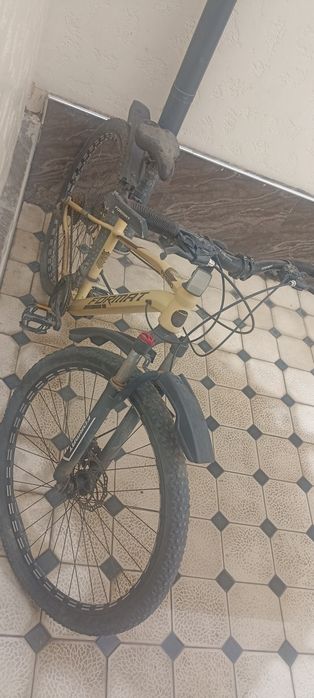 Velosiped yangı 2oy haydalgan olinganiga 1yil bolgan