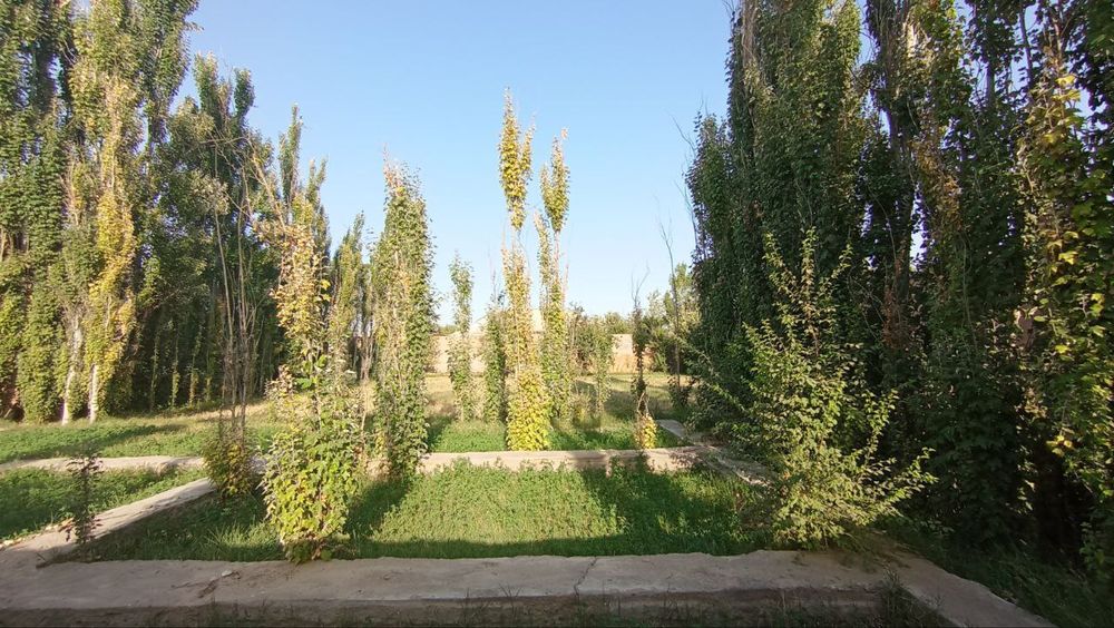 Xosildor YER 15 Sotix _ Suv , Gaz, Elektr tarmog'i doimiy mavjud!