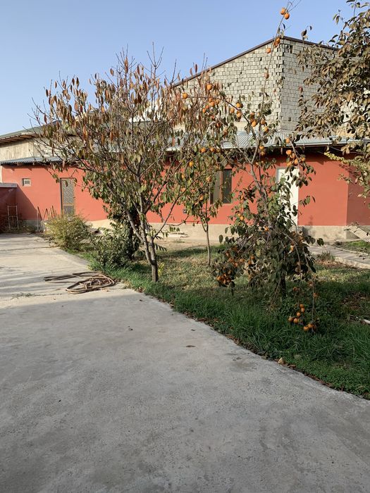 Срочно цена снижена. !!! Дом на Узбекистанской улице.