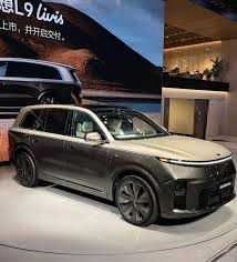 Lixiang Li9 Livis