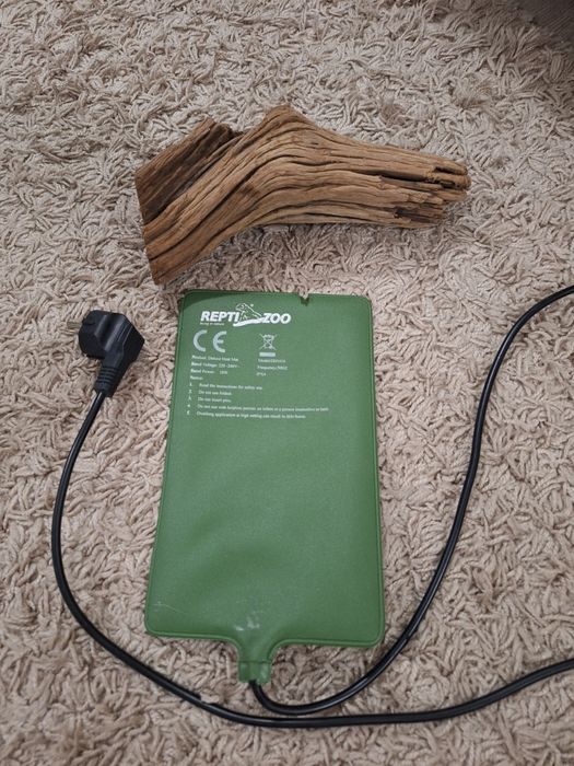 Самец Эублефар вместе с террариумом