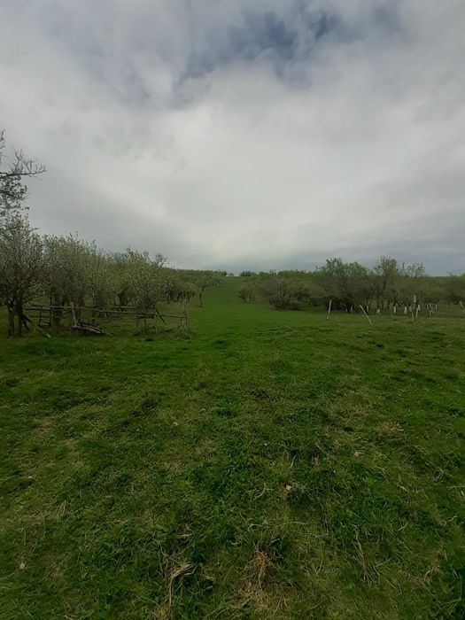 Teren sat.Vîlcele com. Bretea Română