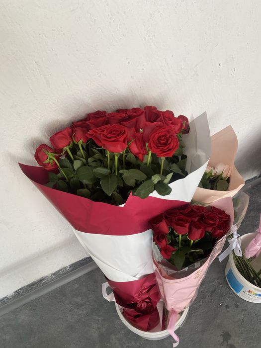 гул роза арзан багада