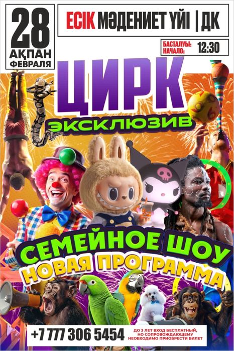 Куроми , лабубу, цирк