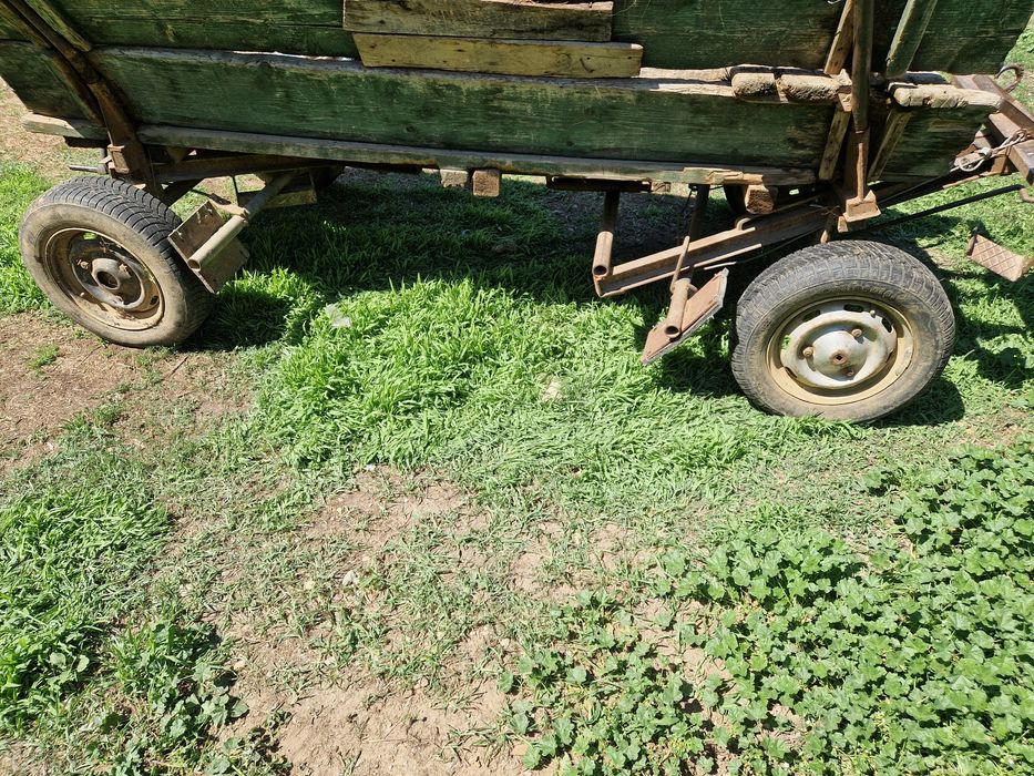 Straf, căruță de cai