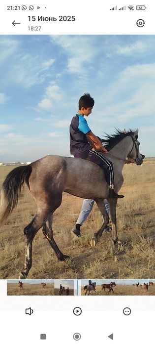 Хардкор секс фотосуреттері