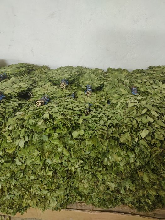 Веники берёза дуб пихта ТОЛЬКО ОПТОП !!!