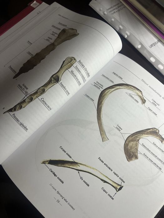 Odam anatomiyasi kitobi