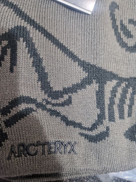 Arc'teryx beanie y2k