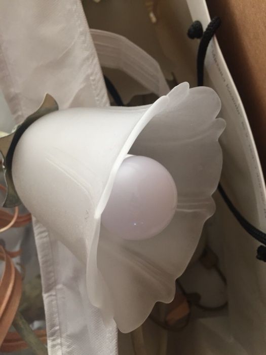 Полилей с 5 чашки