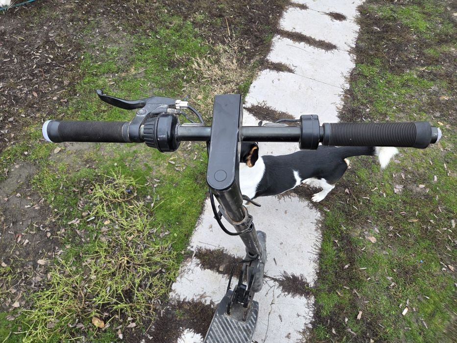 Trotinete electrice – piese sau reparație