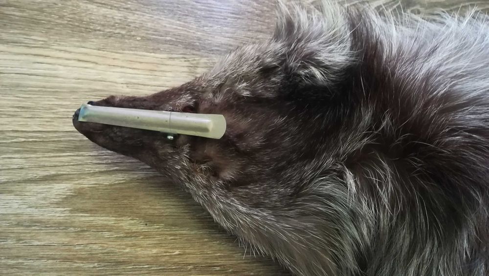 Яка и шапка от лисица