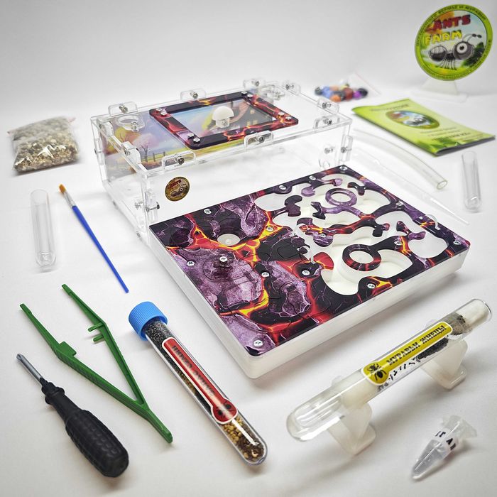 Муравьиная ферма - Муравьи жнецы ||| ГИПСОВЫЙ Формикарий "ADVANCED"