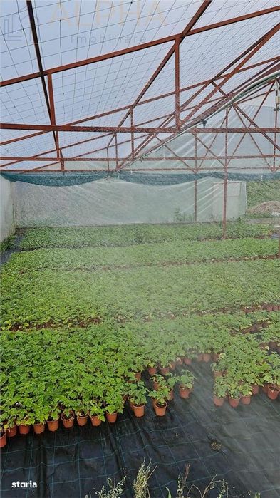 Afacere La Cheie – Hala Productie + Sera Profesionala