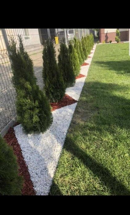 Tundem buruieni lăstăriș defrișări ierbicidăm săpăm
