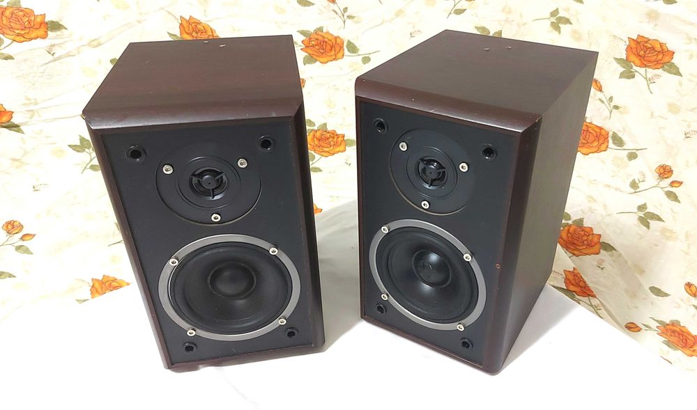 Boxe de raft Magnat Monitor Supreme 100