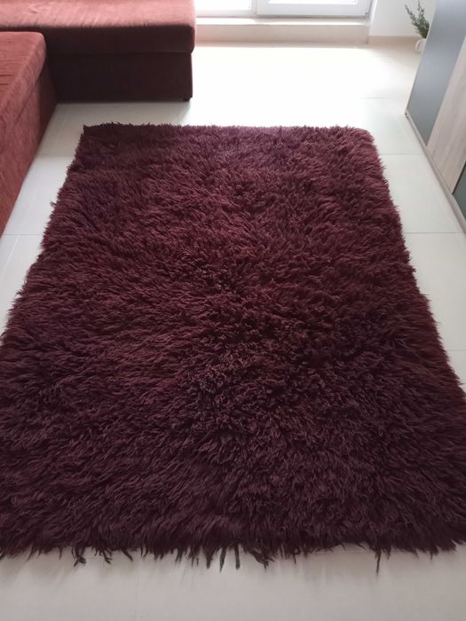 Кафяв вълнен китеник