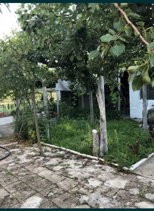 Продава се  в Симеоновград -  кв.м за 0 €/ - Снимка #2