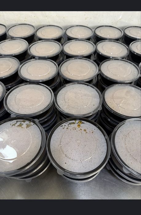 Catering hizmati 3 mahal ovqat tarqatamiz Stroykaga 45,000 boshlanadi!