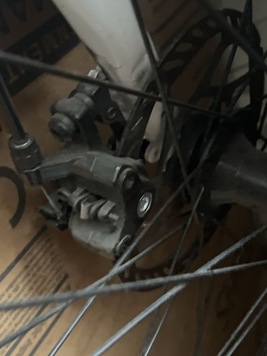 велик в хорошым состаяние