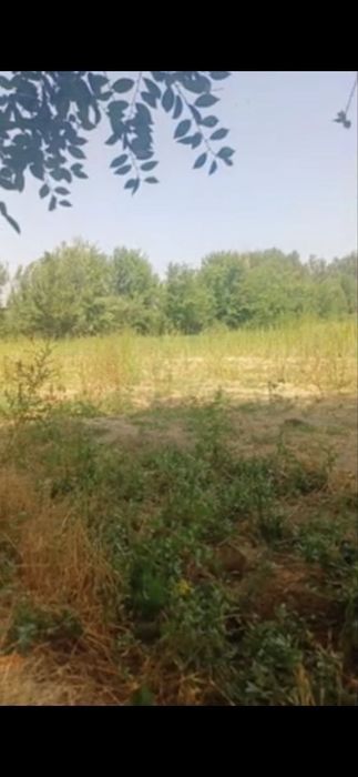 Ortacha Yer sotiladi
