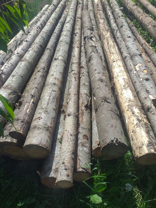 Căpriori rotunzi, bile,lețuri.