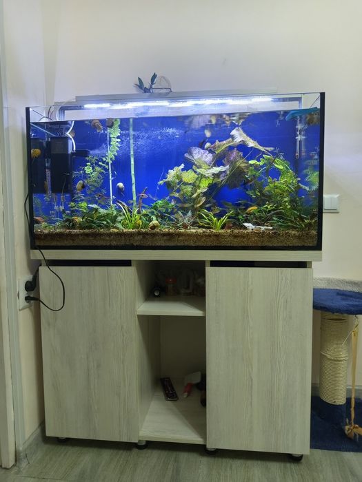 Продам аквариум 250 литров