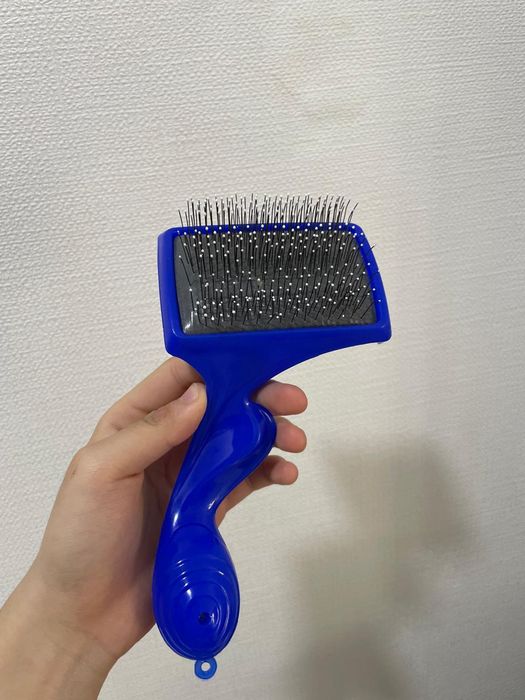 Отдам кошку срочно