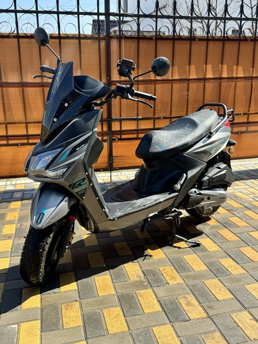 Самурай каваки четкий для этого сезона