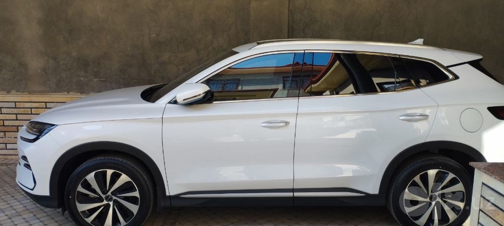 Byd champion gibrid 150 ful bez probeg