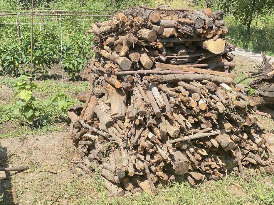 Продам дрова сухие недорого