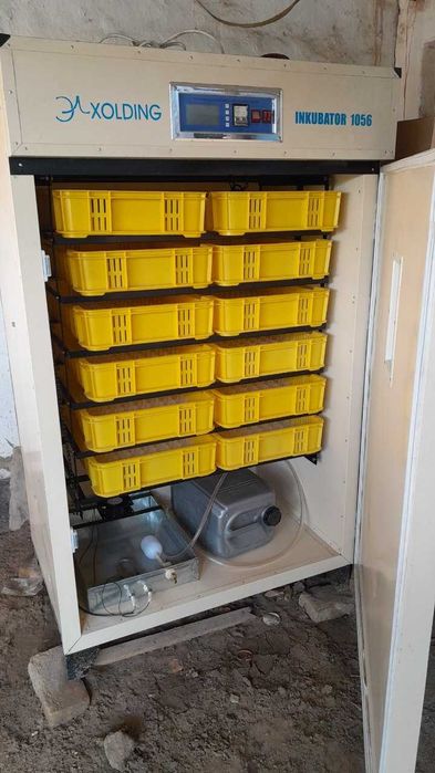 Inkubator  El XOLDING