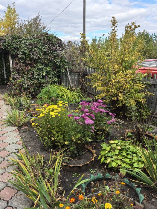 Продам дачу в СТ "Ракета"