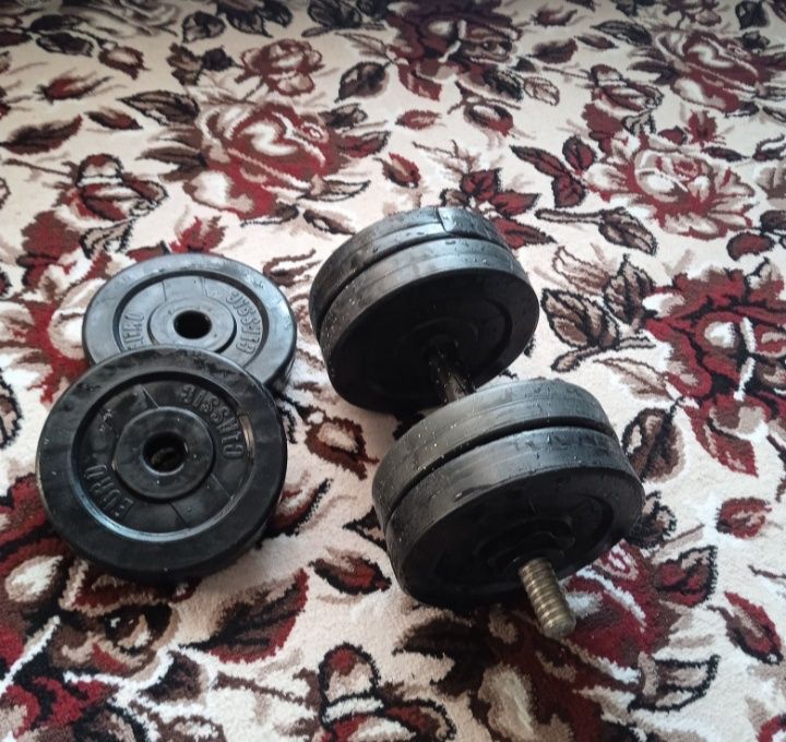 Гантели фирменный