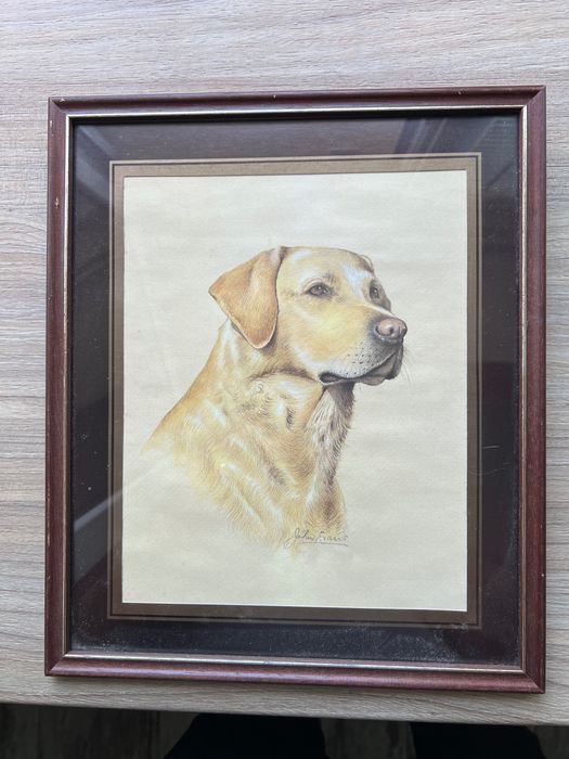 Tablou cu labrador retriever semnat John Frans