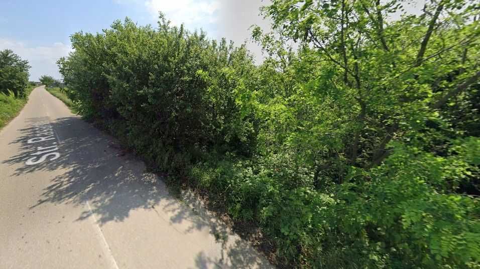 Teren intravilan sat Dârvari, comuna Ciorogarla, Ilfov