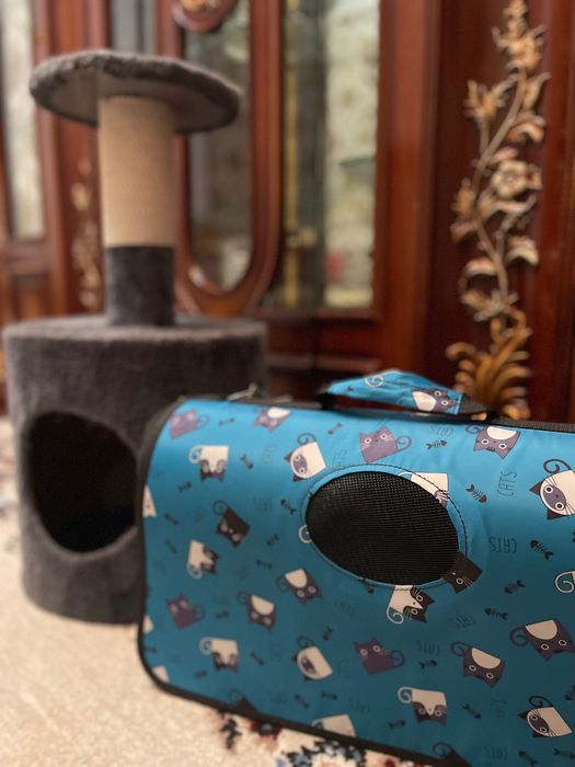 Комплект для кошки: Уютный домик + Удобная переноска