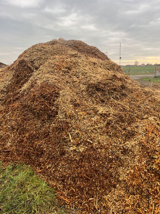 Lucrari de Defrisare,Desfintare livezi,Curatare terenuri,gradini,curti