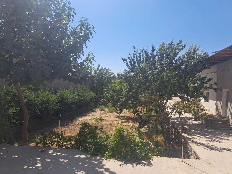 Ҳовли срочна сотилади (без маклер)